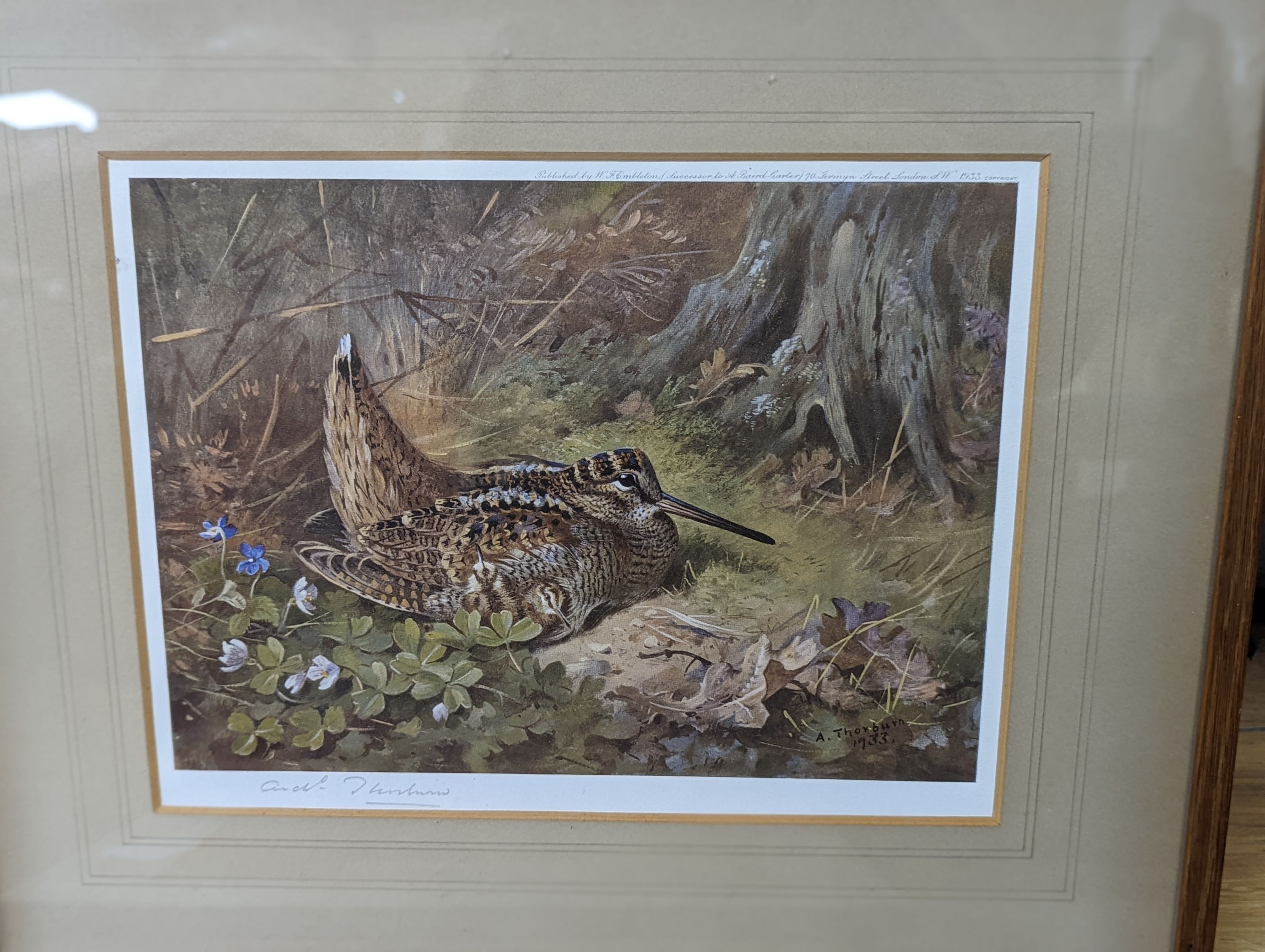 A group of assorted ornithological prints including three lithographs after Edward Lear, largest 52 x 36cm